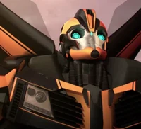 Bumblebee -Post TFP-