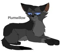 Plumwillow