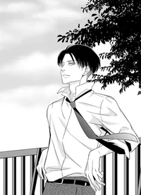 Levi Ackerman 