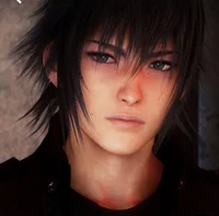 Noctis Lucis Caelum 