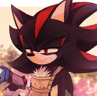 Shadow The Hedgehog 