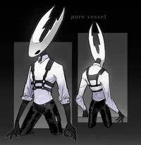 Female Hollow Knight