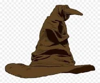 Sorting hat