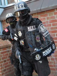 Agente FPI