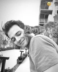 Mert yazicioglu