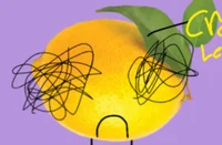 Cropped Lemon