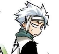 Hitsugaya toshiro 