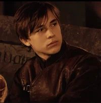 Peter Pevensie