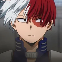 Shoto Todoroki 