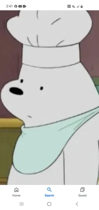 Ice Bear Cook Show