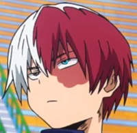 MHA- Shoto Todoroki