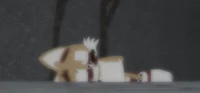 Tails dead Body