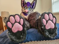 Hugz N Snugz Fursuit