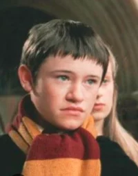 Seamus Finnigan 