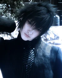 Noctis Lucis Caelum