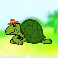Shelly the Turtle