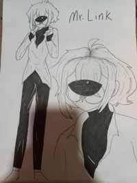 Mr Link
