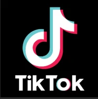 Tiktok commenter