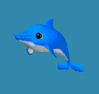 Kairu the dolphin