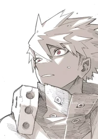 BAKUGO ESPOSO-HÉROE 