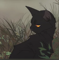 Crowfeather - WC