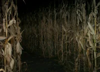 Scary Cornmaze