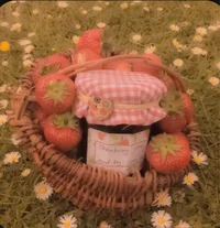 Strawberry Patch