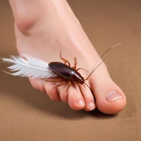 Tickle roach