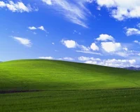 Windows 98