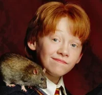 Ron Weasley 