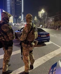 Swat