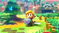 Link awakening