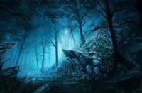 The Forbidden Forest