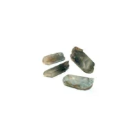 01 - info