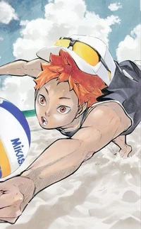 Hinata Shoyo