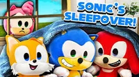 Sonic Sleepover 