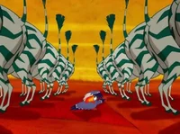 Zebra butts 