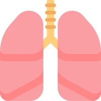 Your lungs