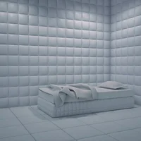 Insane room