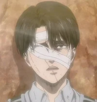 Levi Ackerman 