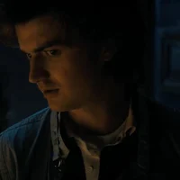 Steve harrington 