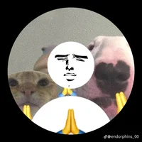 Bakery x Apple Store