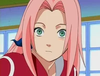 Young sakura