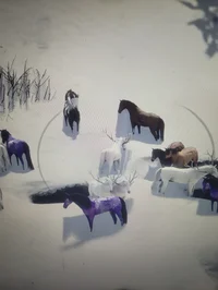 Legendary horse herd