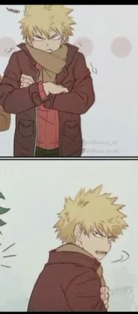 Katsuki Bakugou 