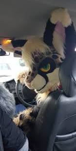 Furry Uber driver 