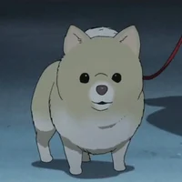 Dog Isekai