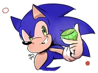 STH - Sonic