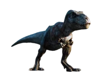JP - Rexy