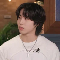 Han Jisung 